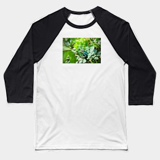 Chameleon / Swiss Artwork Photography Baseball T-Shirt